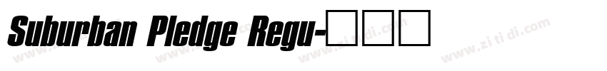 Suburban Pledge Regu字体转换